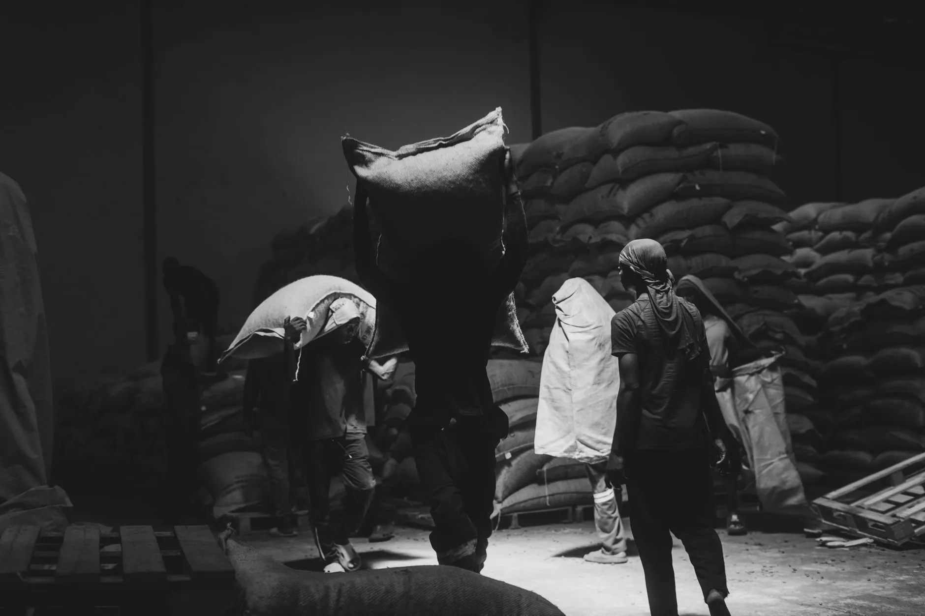 重庆润嘉好卷纸抽纸产品型号参数与规格对比分析
